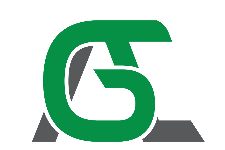 IFS Logo
